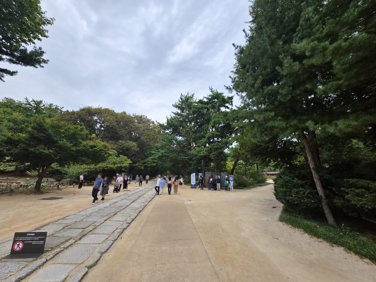 Shaded forest path inside Jongmyo Shrine in Seoul; visitor faces blurred for privacy