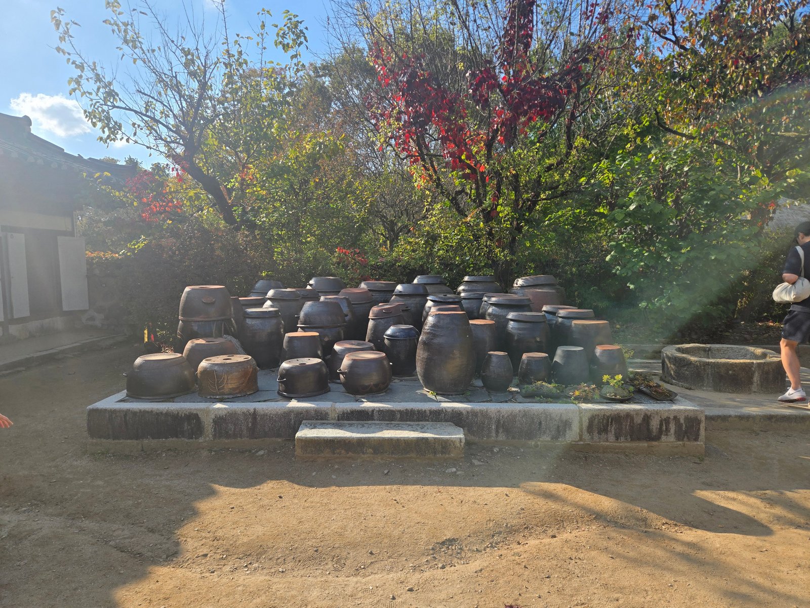 Rows of traditional earthenware jars on a raised platform in Korean Folk Village