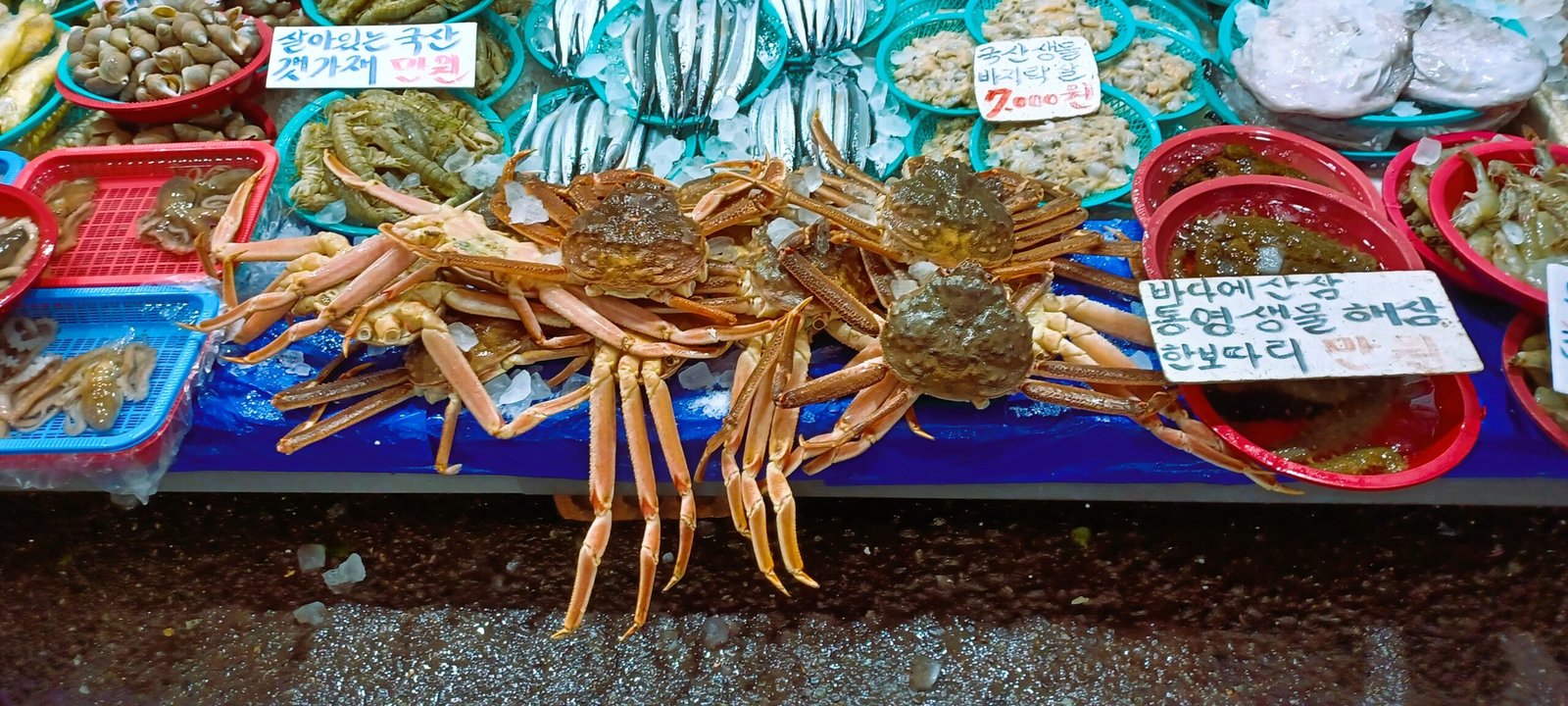 Raw crabs, shellfish and fish in baskets at a Mangwon Market seafood stall